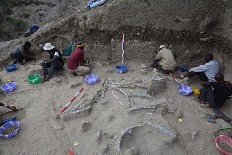 Excavaciones En La Garganta De Olduvai En Un Yacimiento Donde Hace 1 5