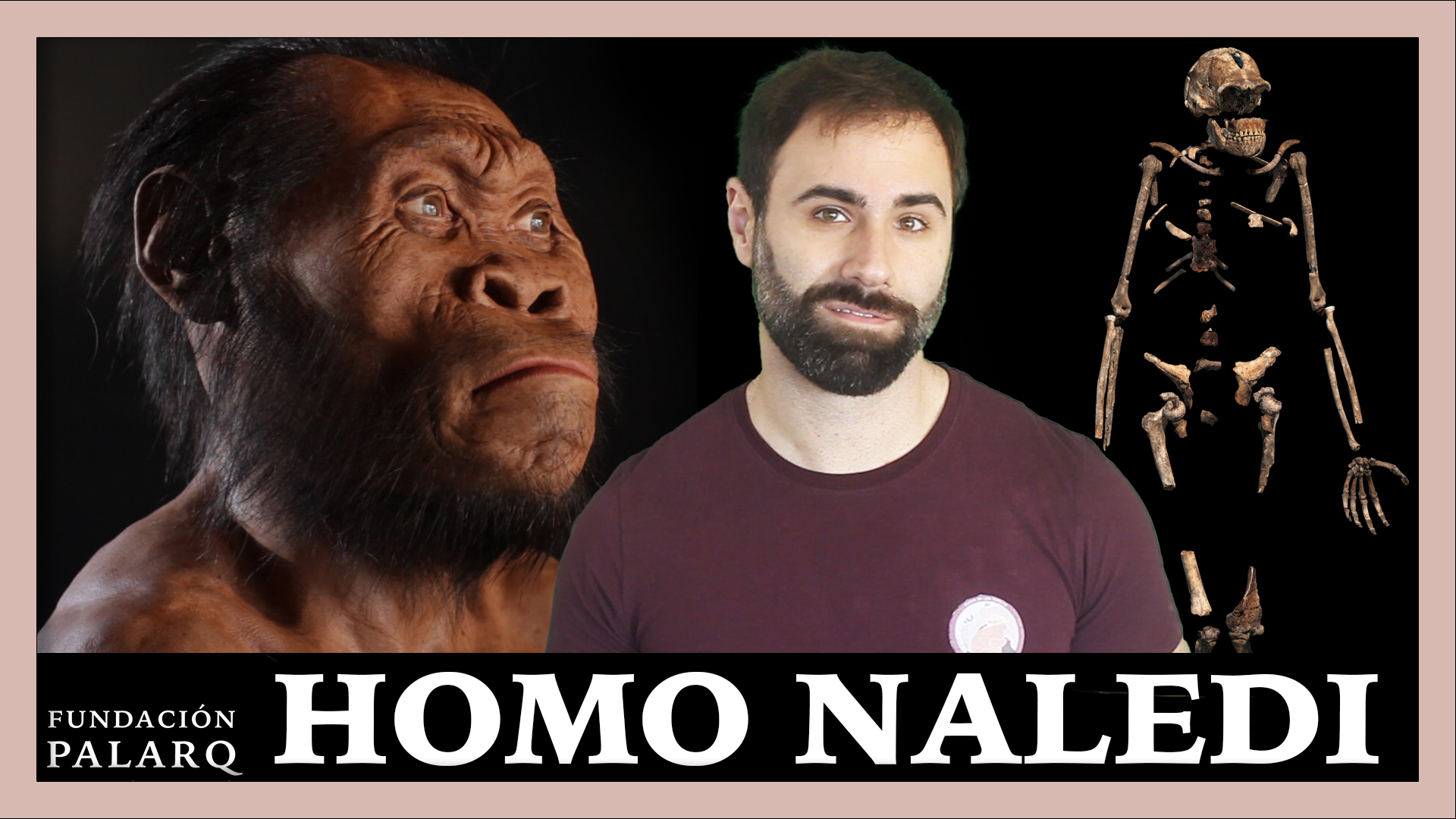 Homo Naledi Las Principales Especies De Homininos Y Etapas De La