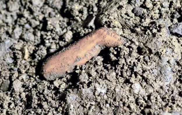 Foto : Institute of Archeology and Ethnography