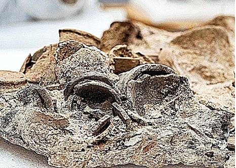 Los vasos funerarios encontrados en Alaior.DAVID ARQUIMBAU / EFE