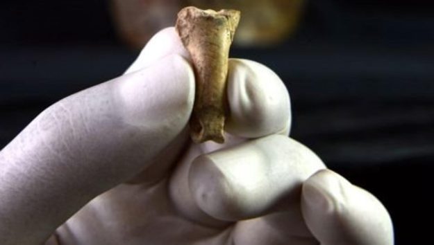 A 40,000 year-old eagle toe bone has discovered to be an ancient necklace (Image: Antonio Rodríguez-Hidalgo) Ancient Origins