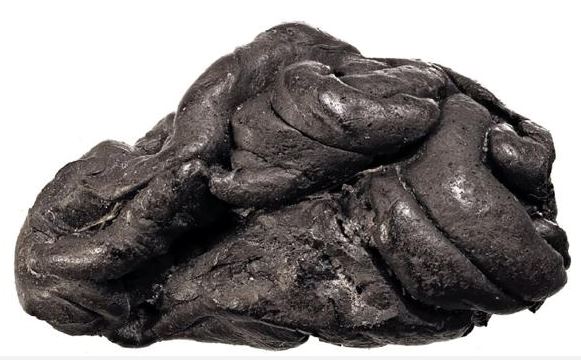 CHICLE GENOMA_NatureComunications