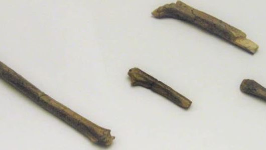 OH 62, Homo habilis, Foto Roberto Sáez