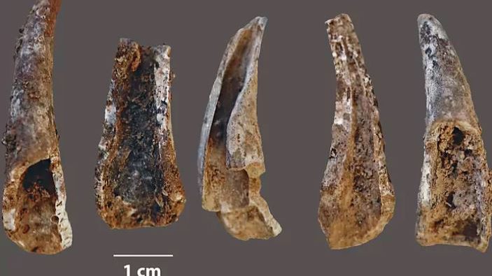 Utensilios fabricados con patas de un buey de mar João Zilhão_ElMundo