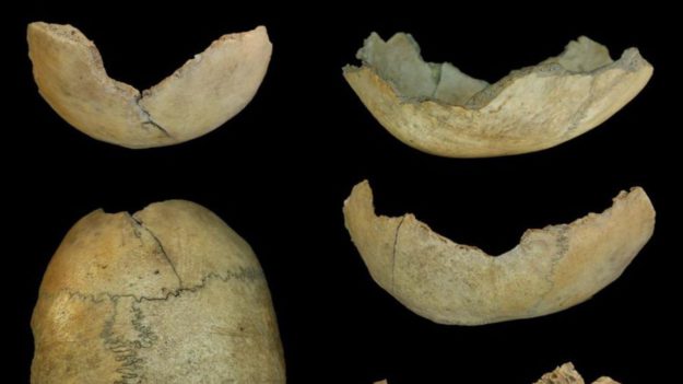 Hallazgos en la cueva de El Toro, en el Torcal de Antequera (M.G.). La vanguardia