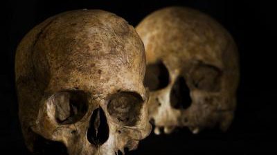 164_12472_web@noticiasdelaciencia