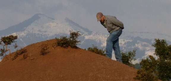 Field site in Ramnagar, India. Credit: Christopher Gilbert @phys.org