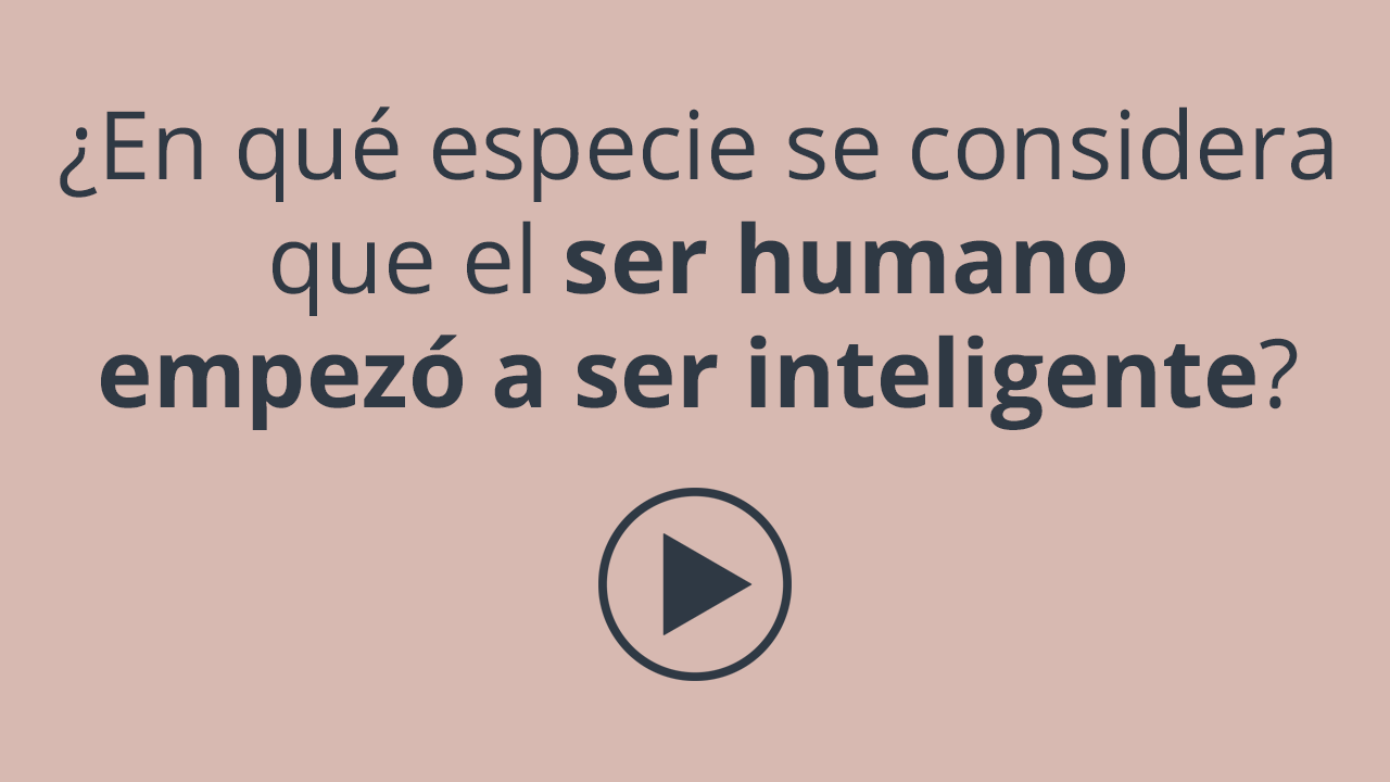 En Que Especie Se Considera Que El Ser Humano Empezo A Ser Inteligente Fundacion Palarq