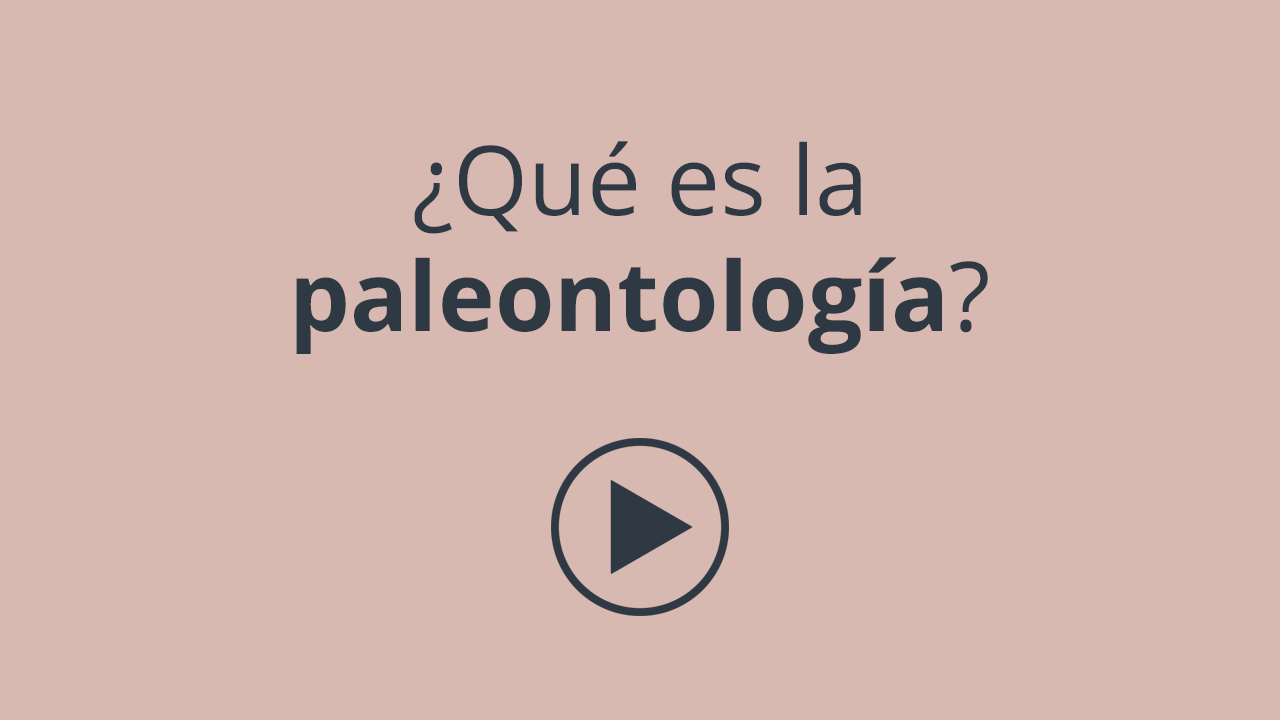 ¿qué Es La Paleontología Fundación Palarq