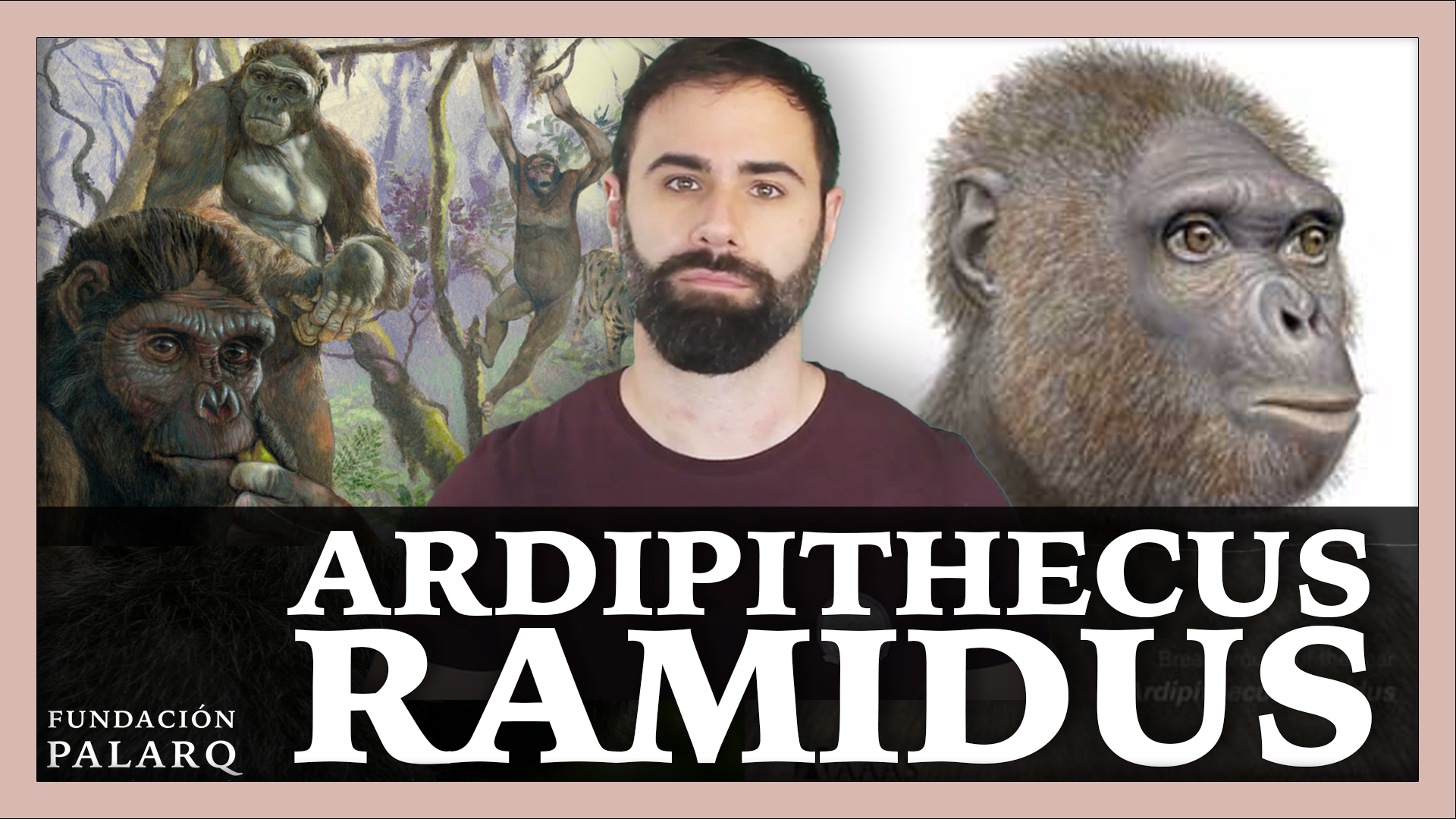 ARDIPITHECUS RAMIDUS | Las principales especies de homininos y etapas ...