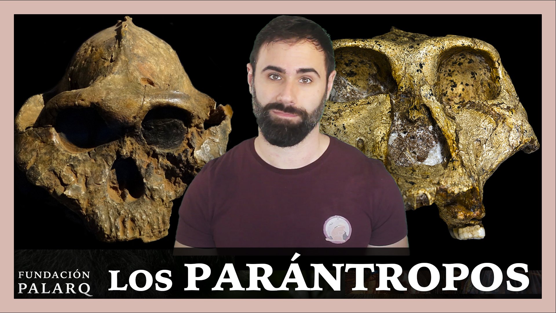 Los PARÁNTROPOS | Las principales especies de homininos y etapas de la ...