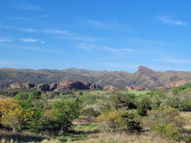 06_Ongamira_palarq25