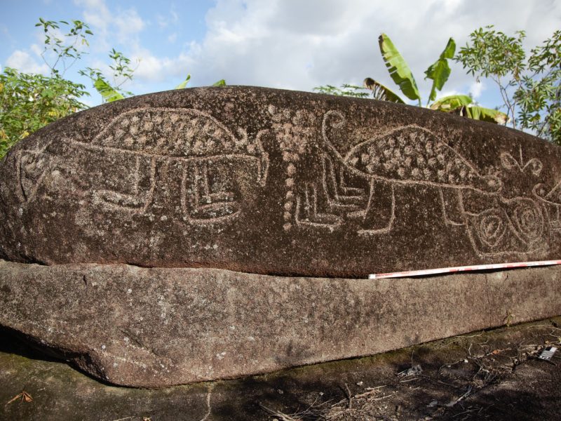 18_Río Inírida_17_2025_3