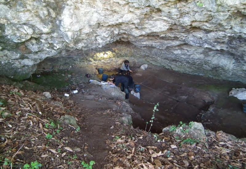 Excavación 2014