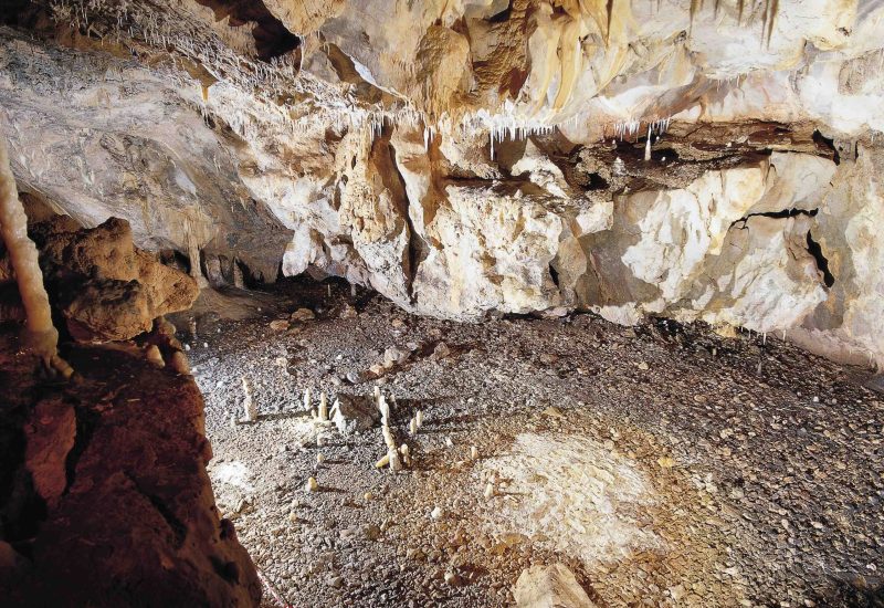 Figura 1-Cabaña Zona I